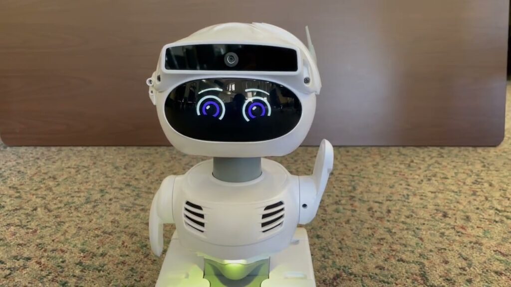 Home assistant robot